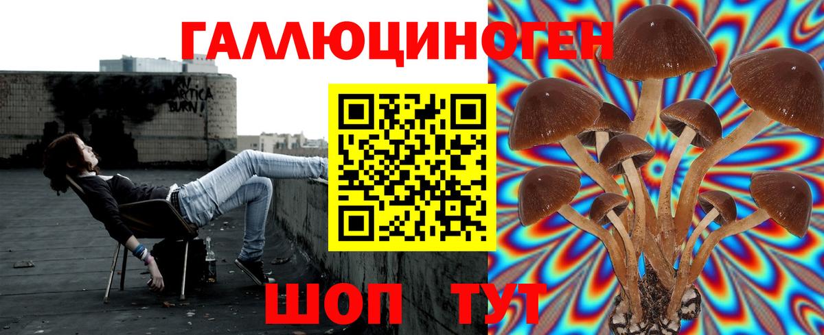 Тельмана  Галлюциногенные грибы мицелий  как найти   Вход с VPN 